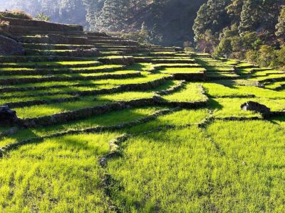 big-e28111a87beefa549cc33549ef6a3ffd