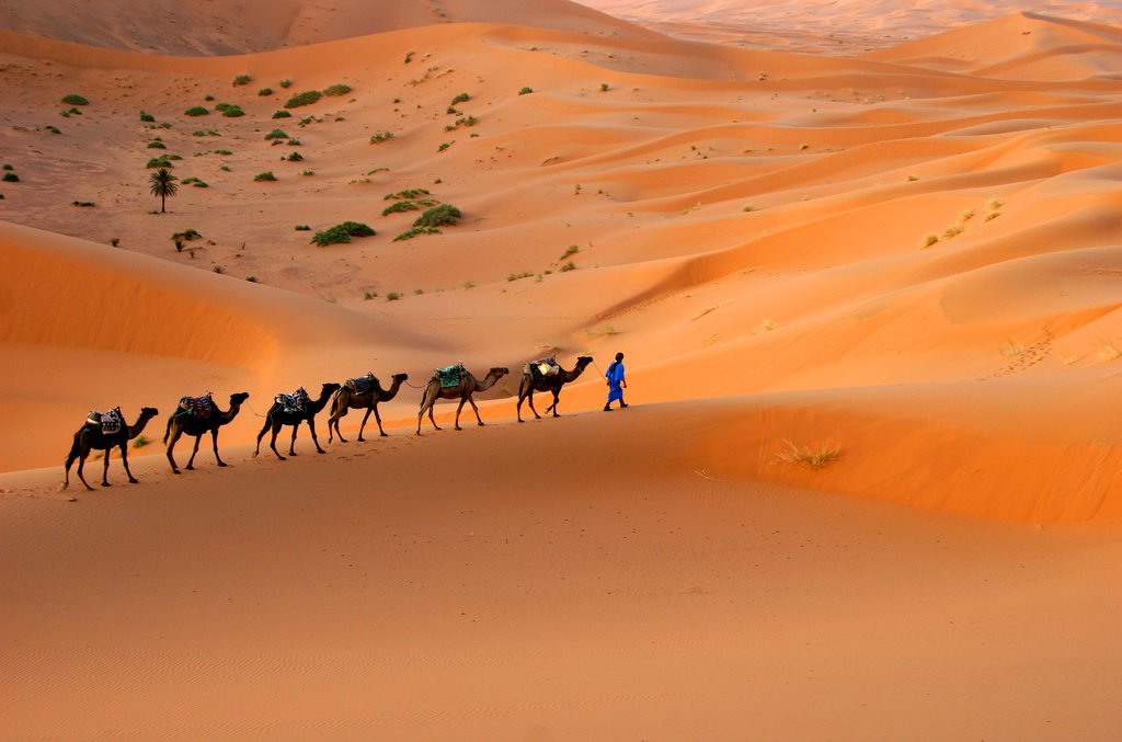 In the Footsteps of Berber Nomads