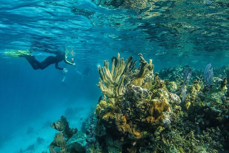 Belize In April Travel Tips Weather More