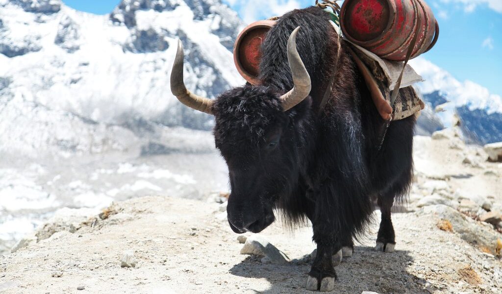 big-e73f8faeda6f0e368100f9ee7949ac0a