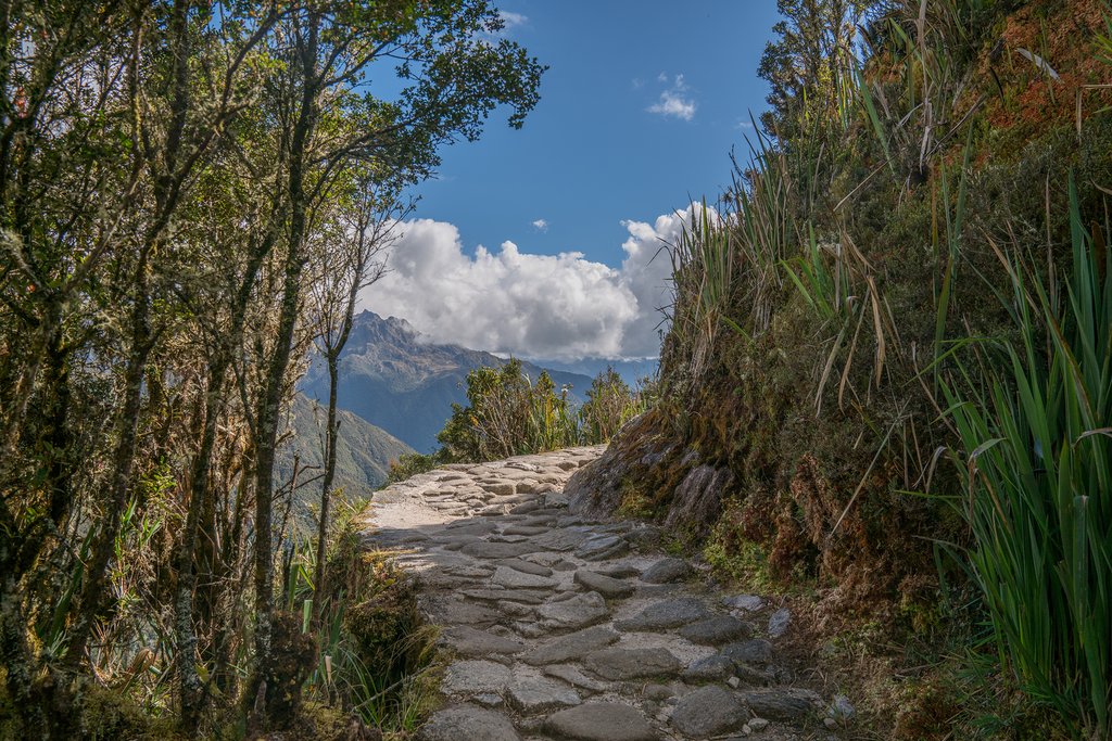 The Inca Trail is paved with stones laid down by the Inca long ago