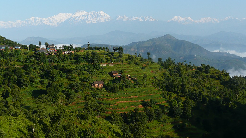 Terraced hillsides with the Himalaya beyond