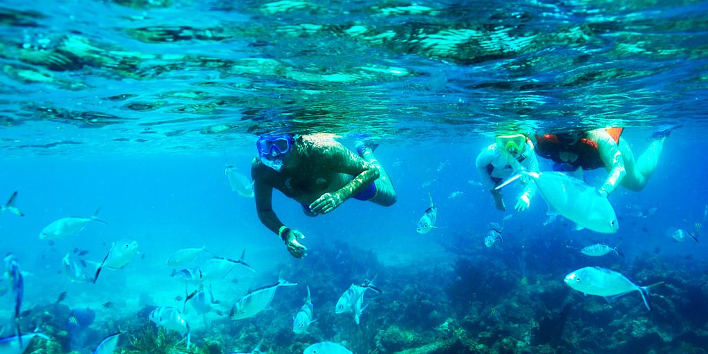 Scuba Doo Experience 