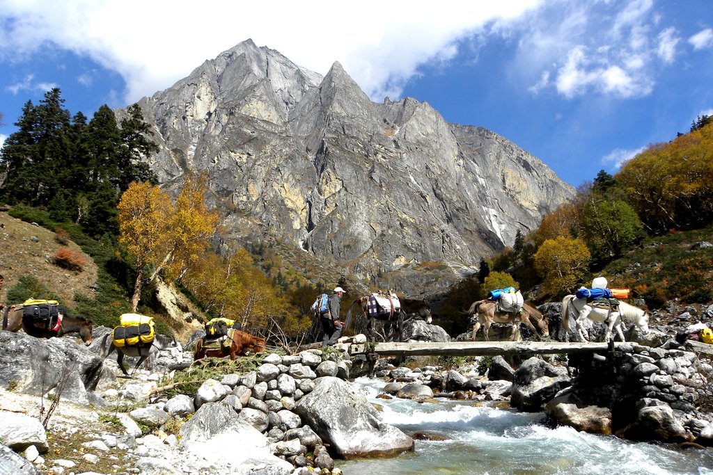 Crossing the Tshongsa river with pack animals 