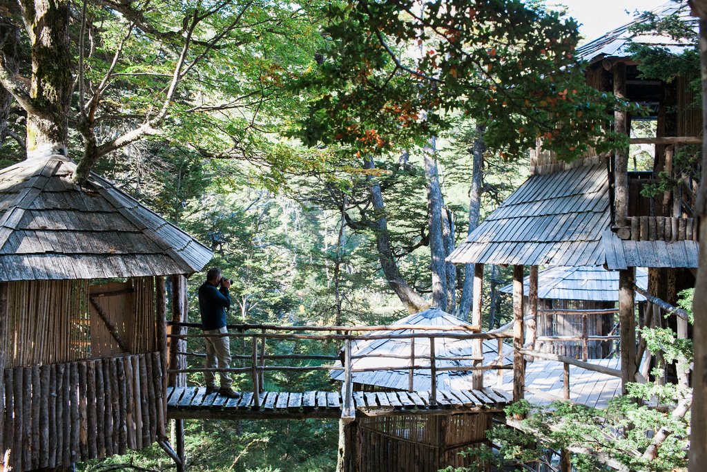 Tree House accommodation