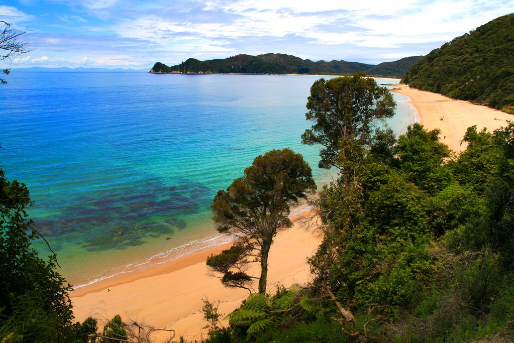 Travel along the scenic Queen Charlotte Drive to Abel Tasman National Park