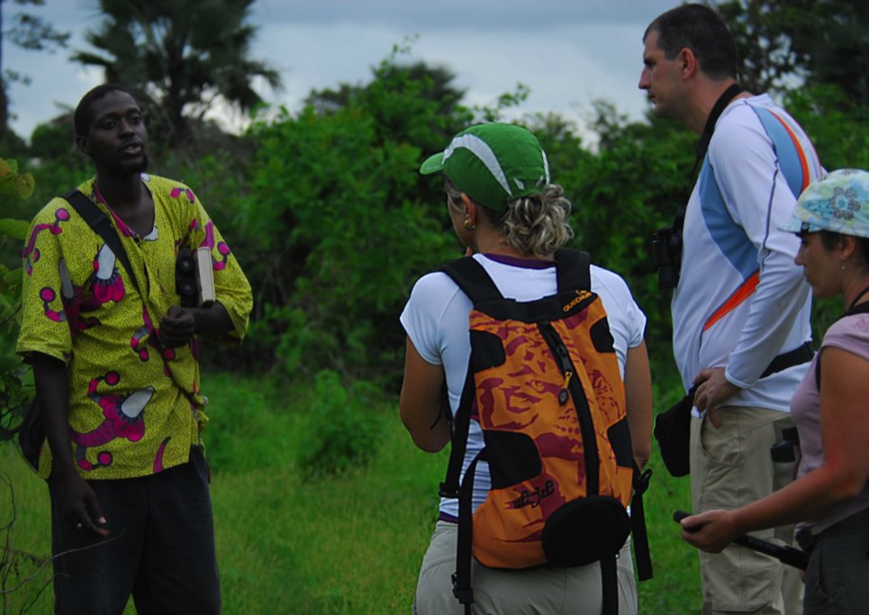 Bird Watching in The Gambia