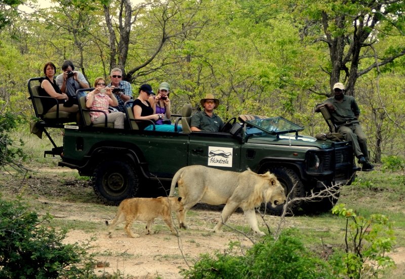 On safari at Shindzela