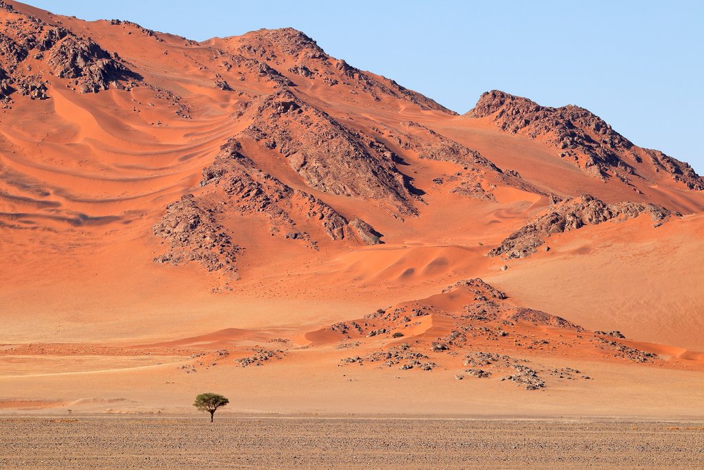 Rugged landscapes of the Namib Desert