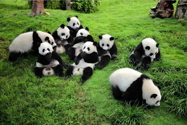 China In June Travel Tips Weather And More