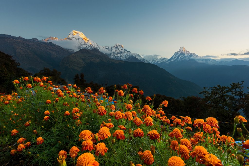 Springtime blossoms invite plenty of photographs