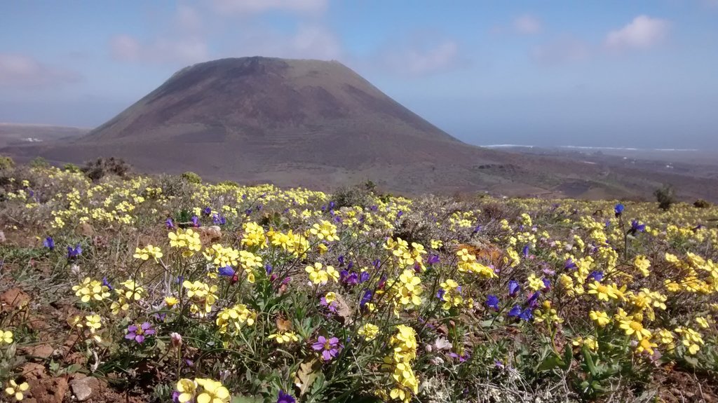 The volcano of La Corona.