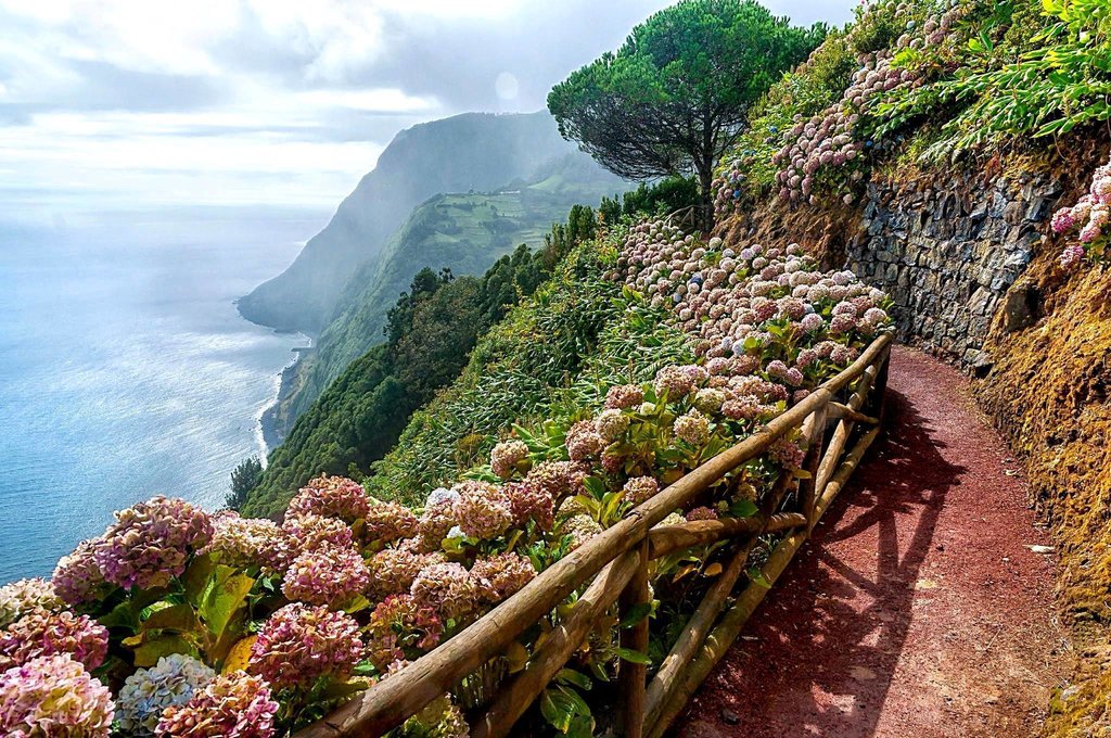 View capture of a viewpoint in Nordeste