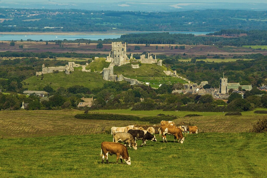 Corfe Castle, Dorset