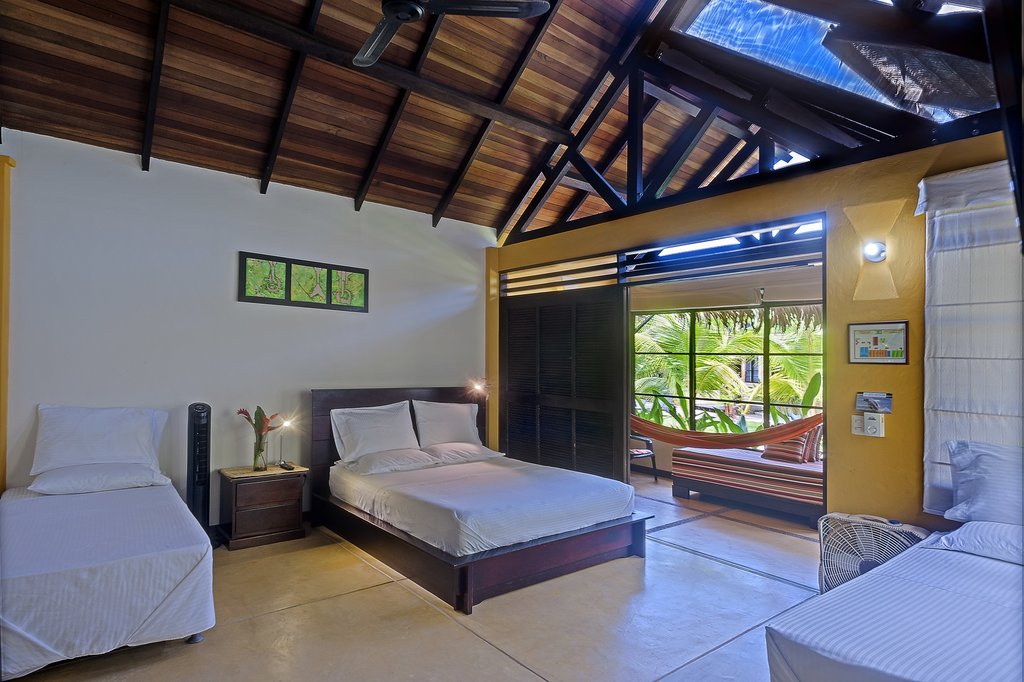 Amazon B&B