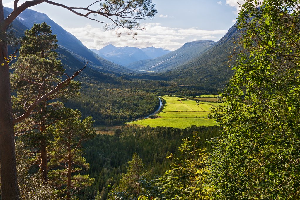 Forests and emerald-green fields aplenty.