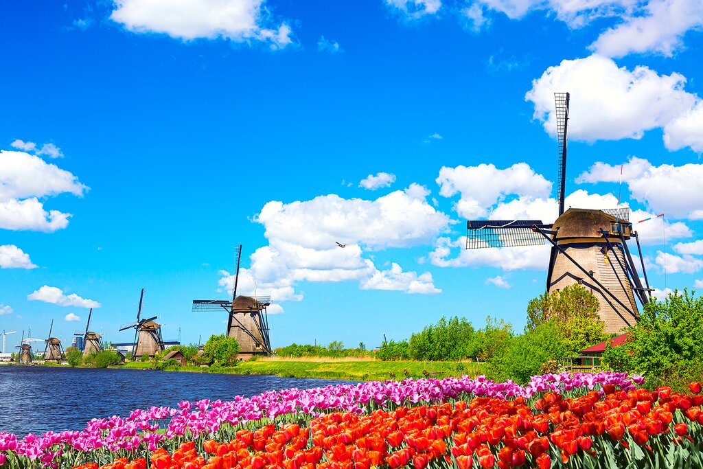 Dutch windmills on a spring day