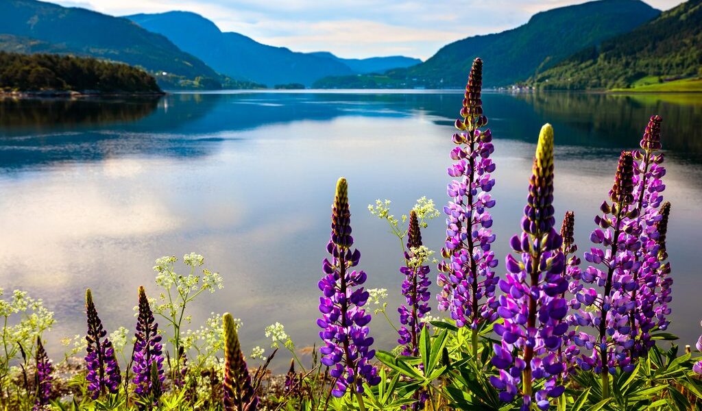 Beautiful Nature Norway natural landscape.