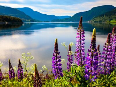 Beautiful Nature Norway natural landscape.
