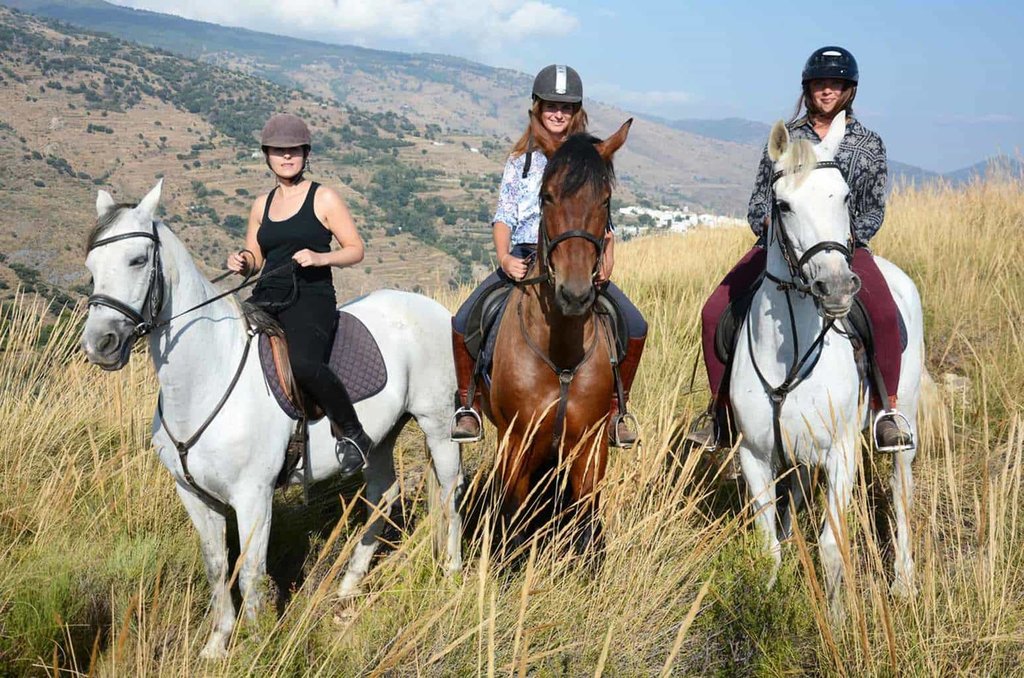 Horse riding in a natural park