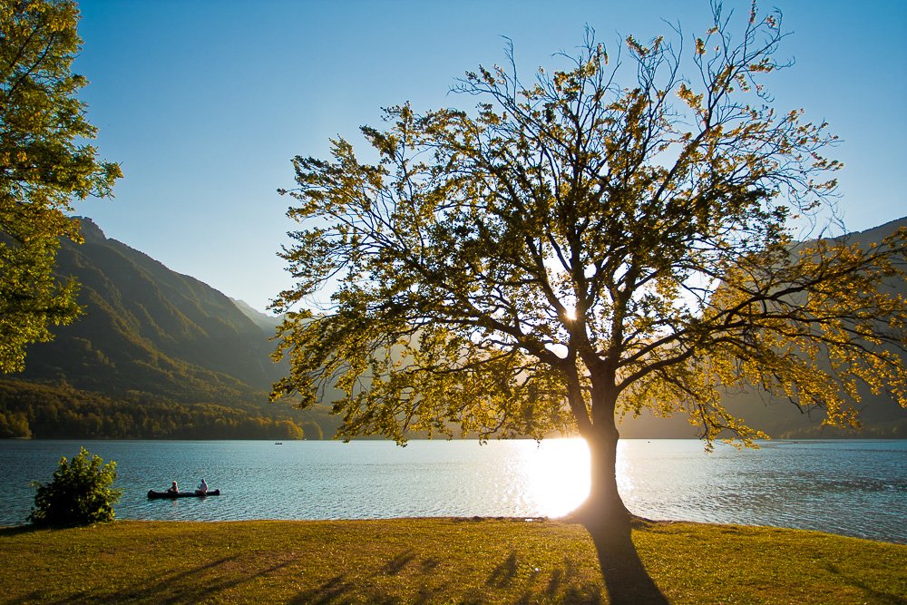 The serene surface of Lake Bohinj