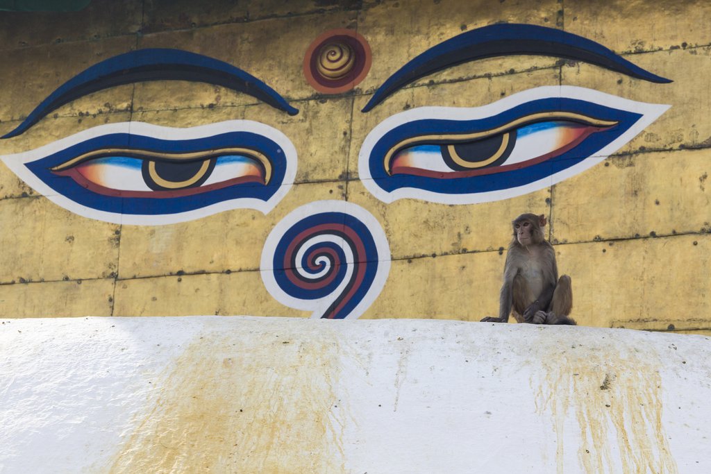 The all-seeing eyes of Buddha at Swayambhunath