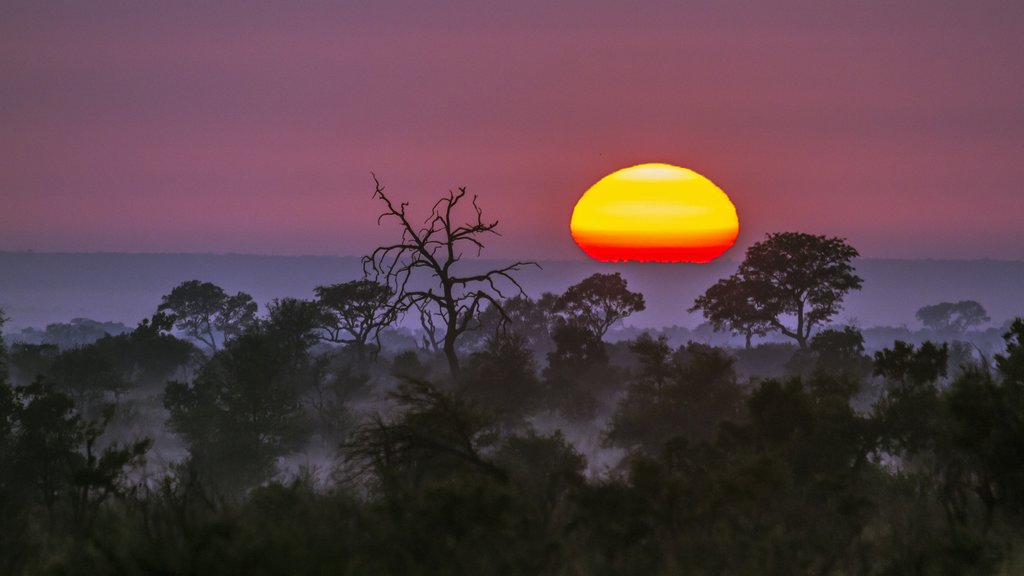 Sunset in Kruger