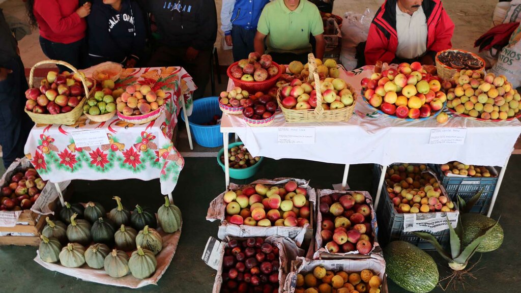 Sample the vibrant flavors of Oaxaca's markets