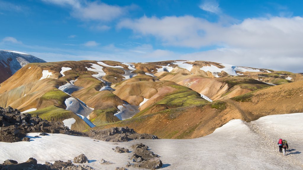 Rhyolite mountains