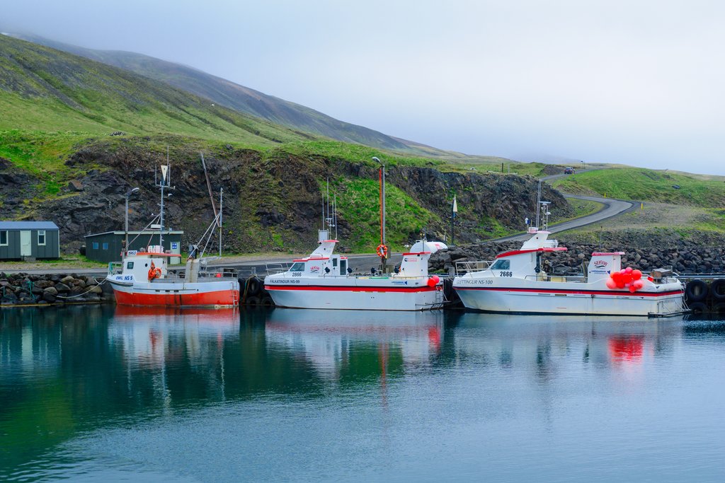 The Harbor at Borgarfjordur Eystri