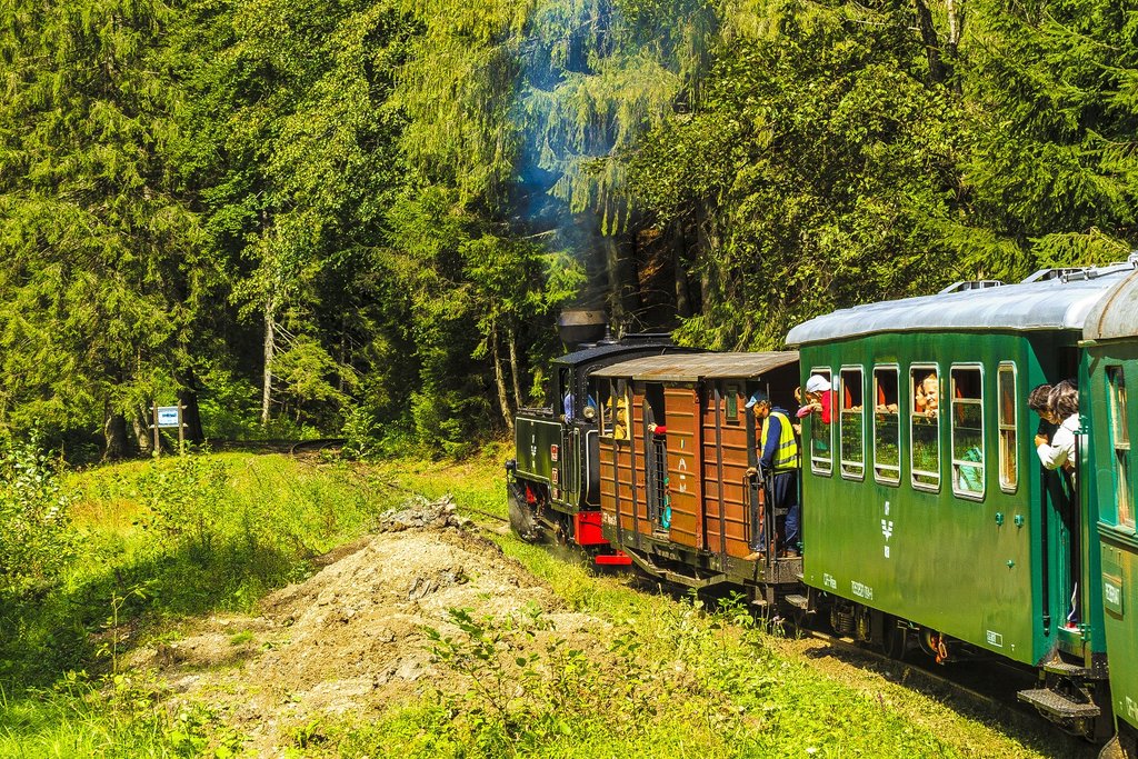Steam train in Maramures