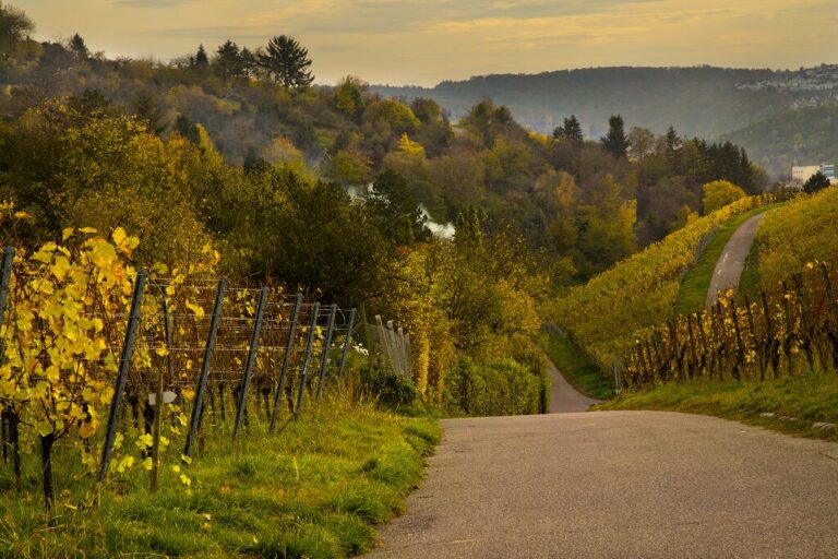 Germany In September Travel Tips Weather More