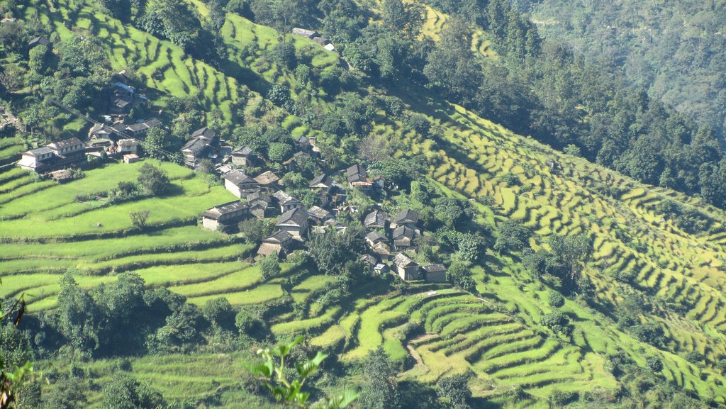Terraced fields on today's trek