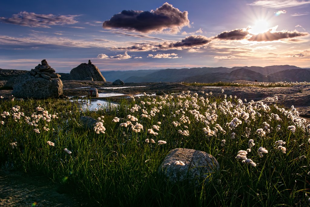 The midnight sun means extra daylight hours.