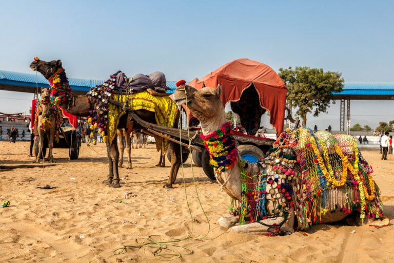 India In November Travel Tips Weather And More
