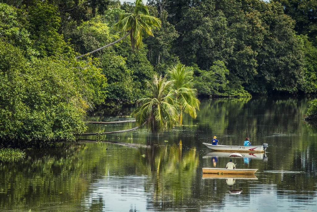 Fishing boats on the river