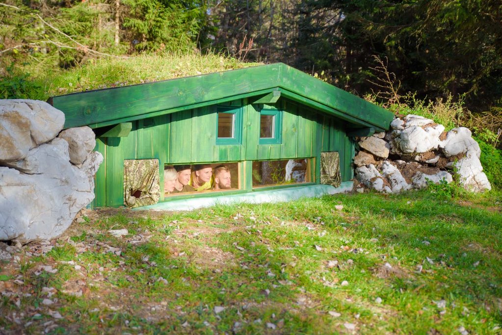 Active Slovenia