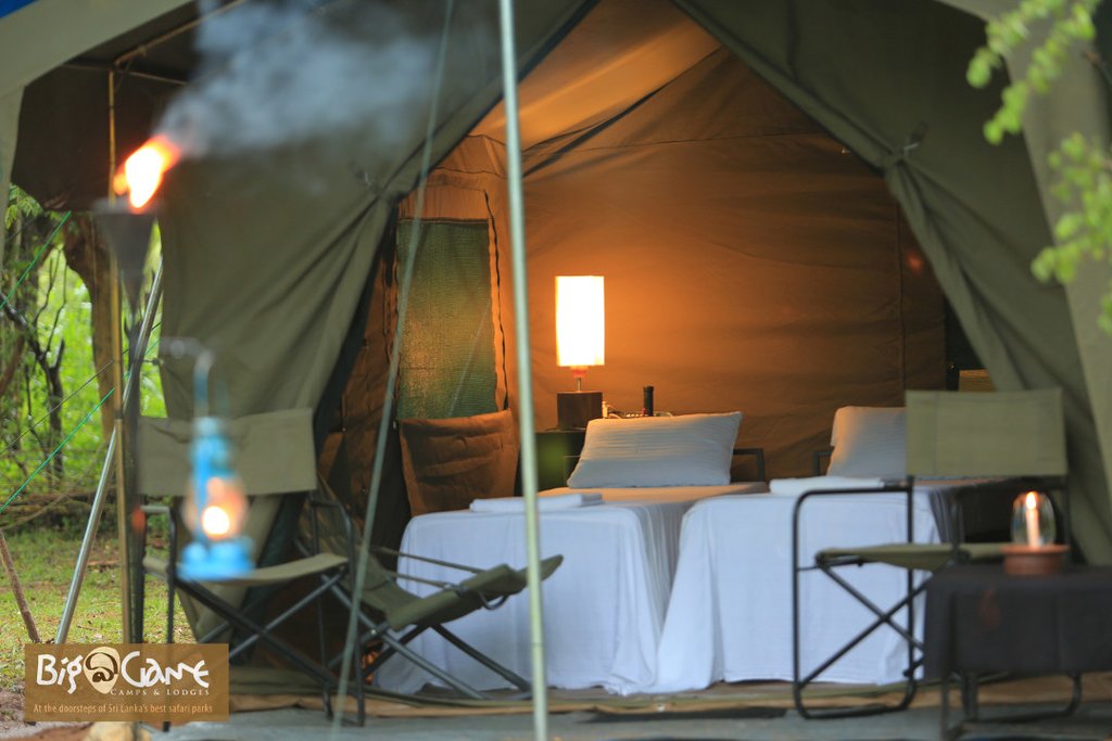 Big Game Safari Campsite accommodations