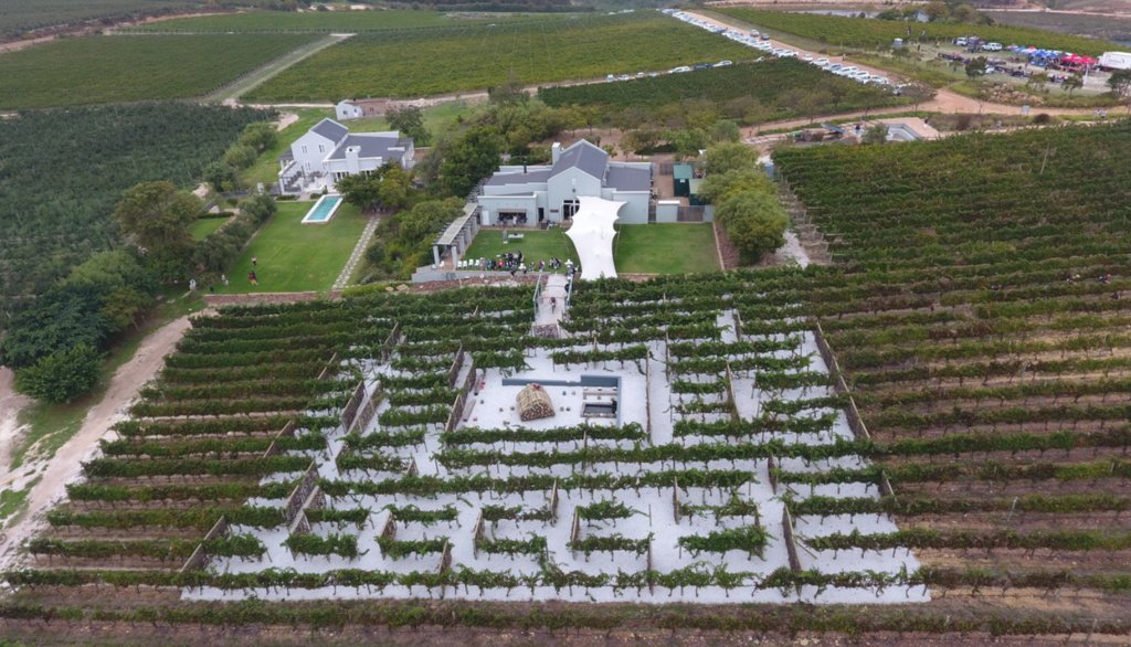Southhill Vineyard maze