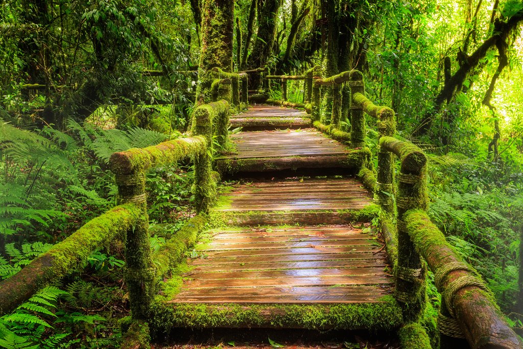 Inthanon National Park