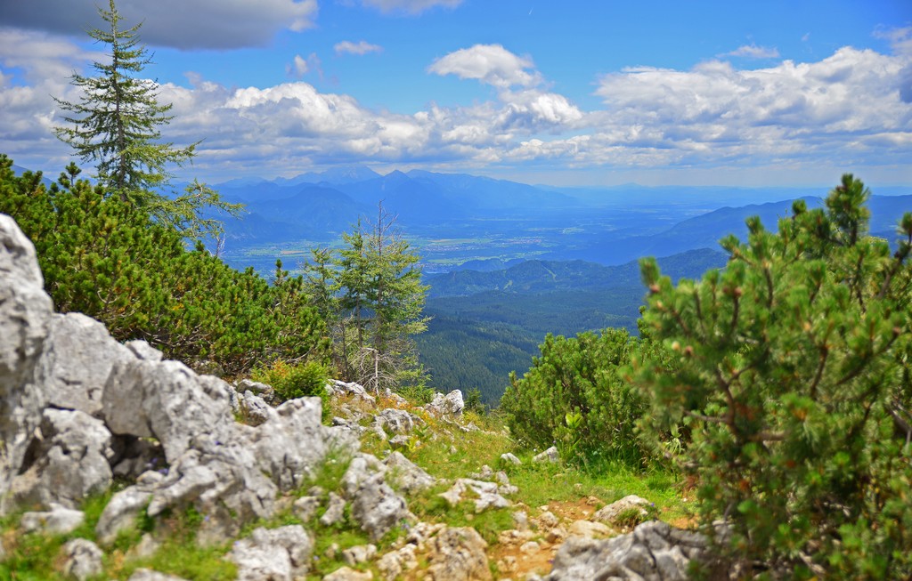 View from Pokljuka mountain