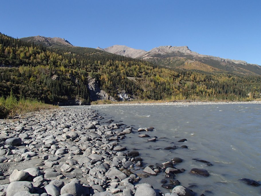 Explore the wilds of Kenai Fjord 