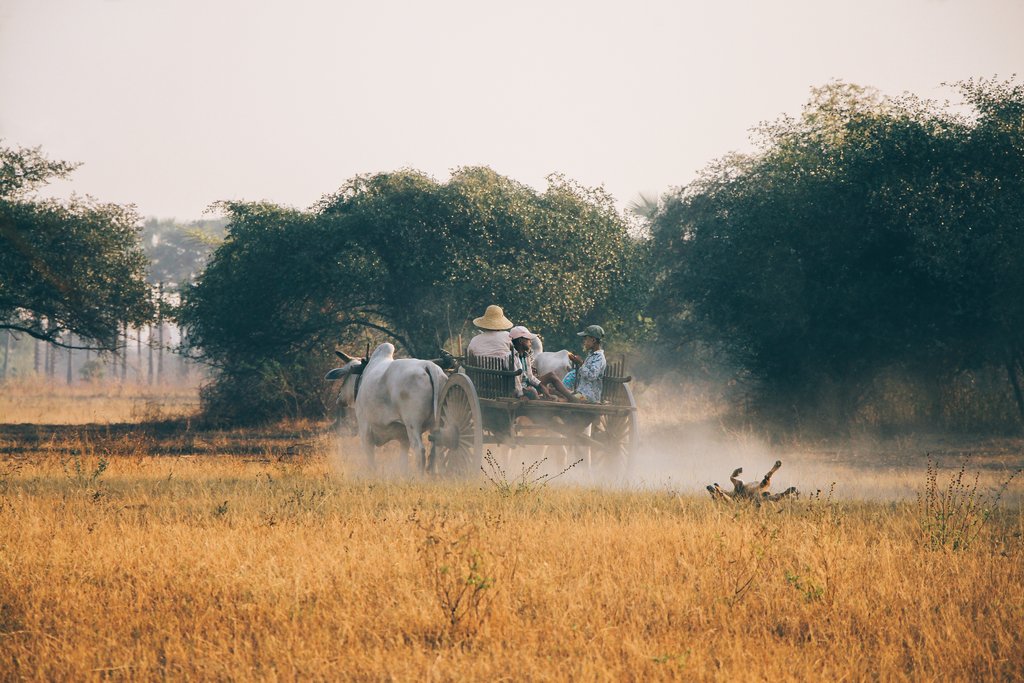 The 4-hour trip will take you past many traditional farm fields