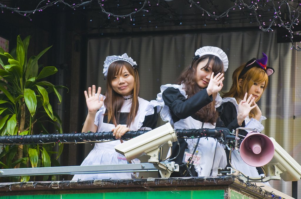 maid cafe waitresses