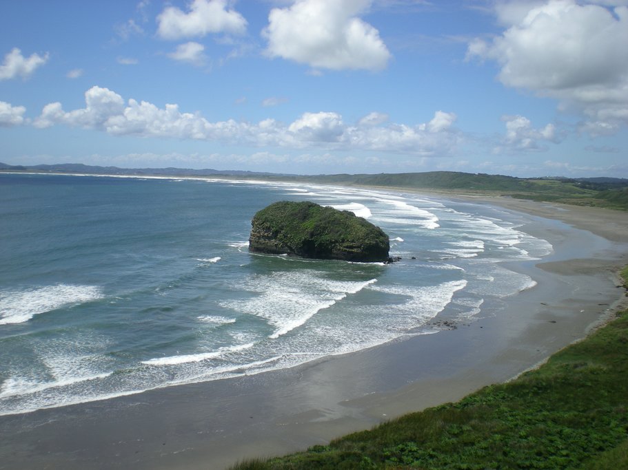 The sandy beaches in southern Chile are excellent for birdwatching and wildlife spotting.