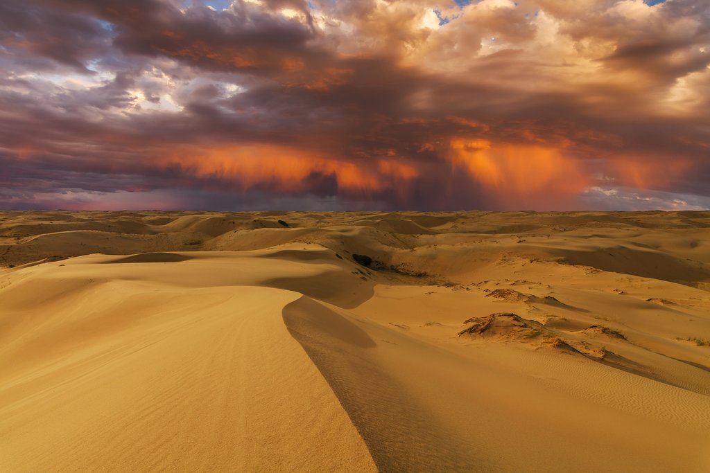 The Gobi Desert