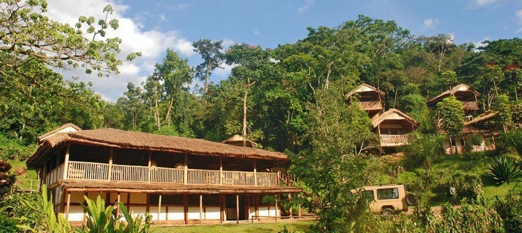 Lodges within Bwindi Impenetrable National Park