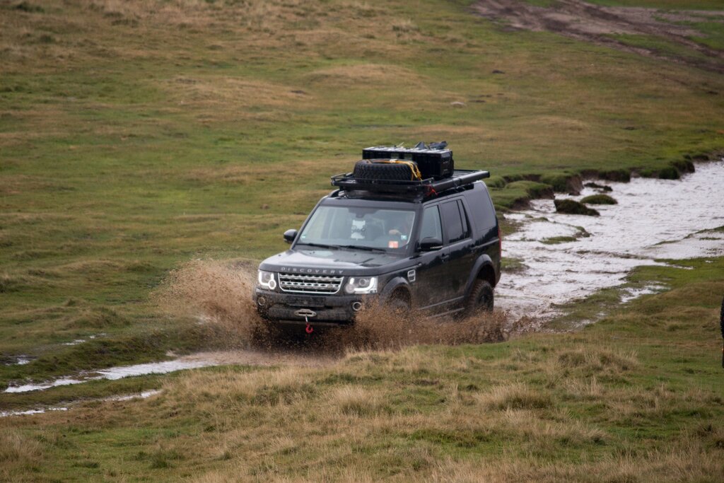Cairngorms National Park Wildlife tour with a specialist