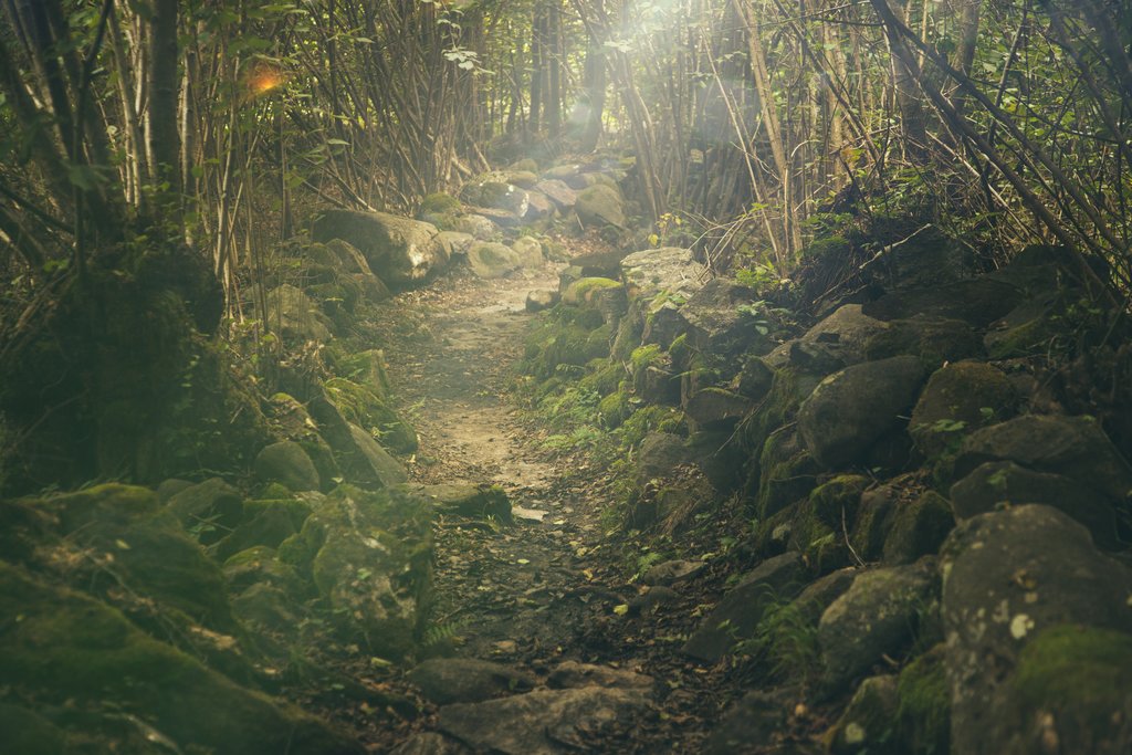 Great hiking trails in the Catalan hills