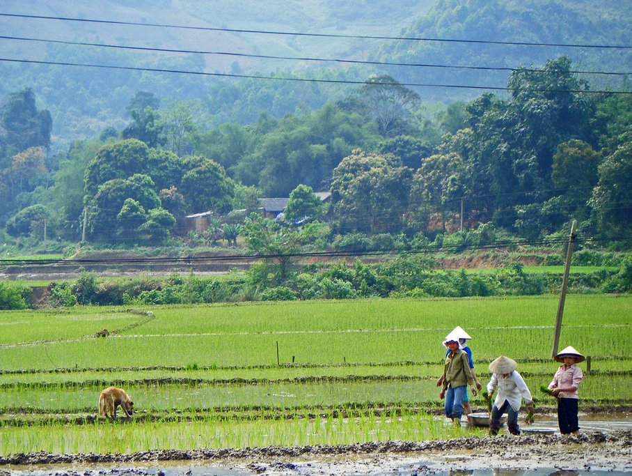 Farmers near Bắc Hà